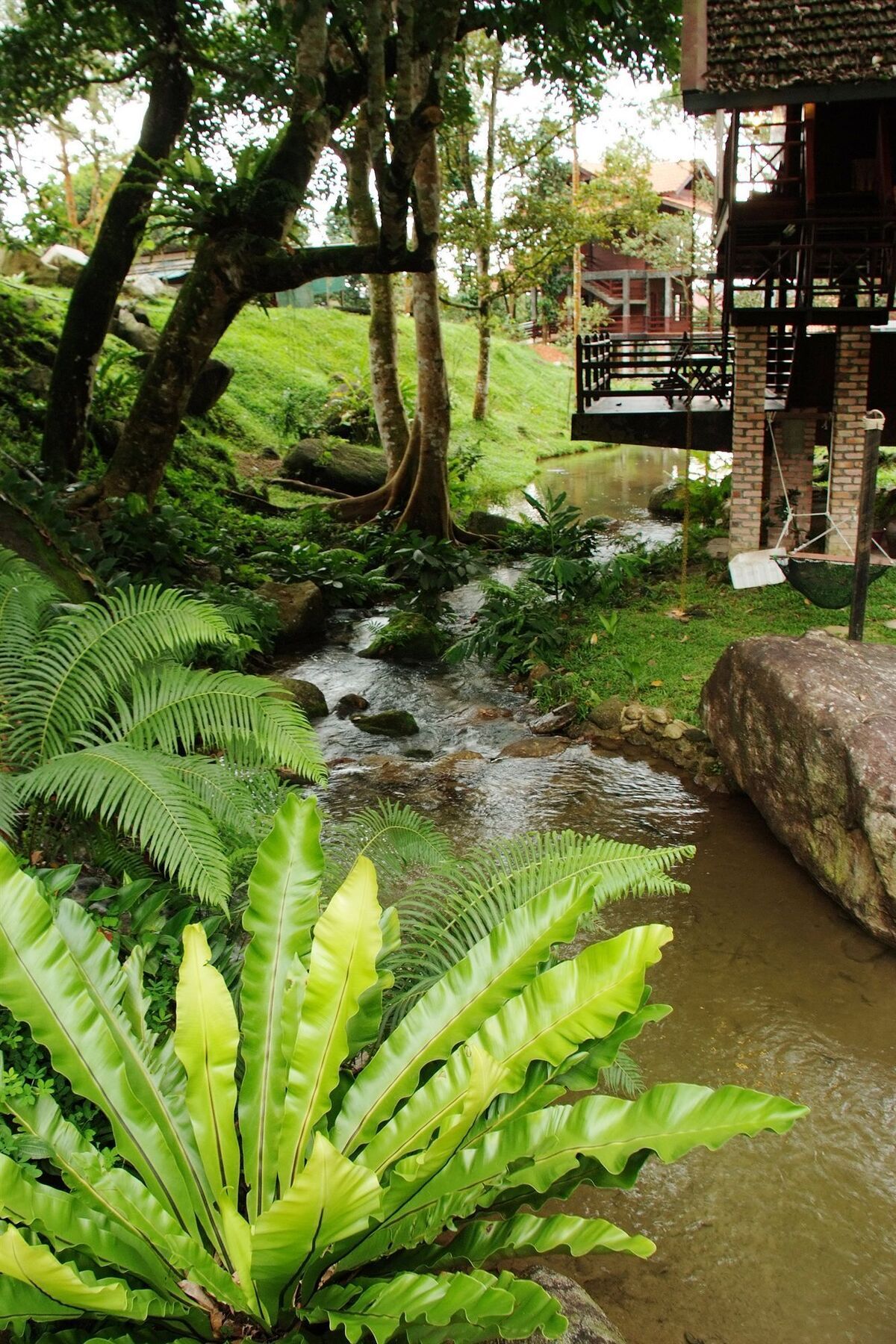 Sentosa Villa Taiping Eksteriør billede